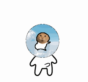 meme ikun_elastic